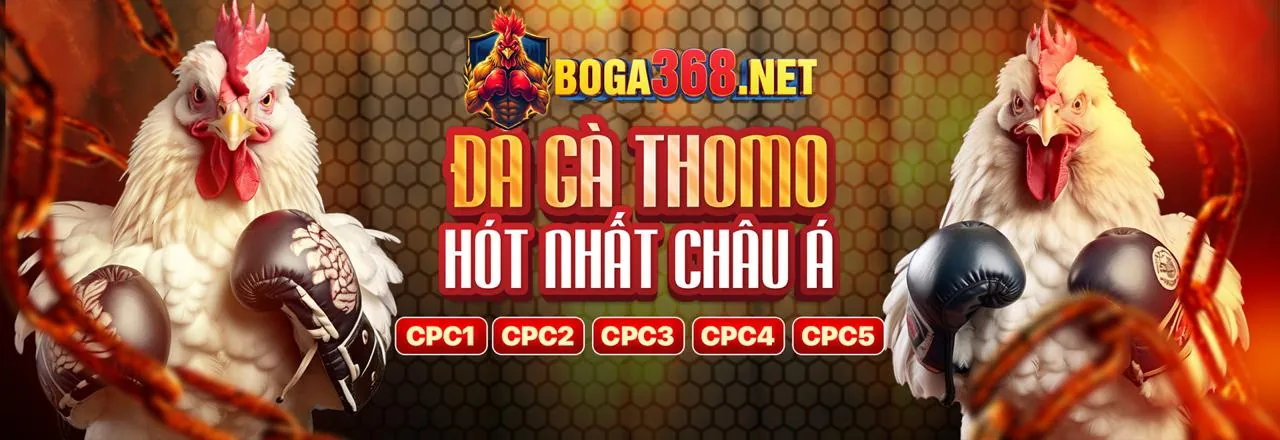 Sân đấu đá gà kịch tính tại Cfun68
